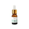 Meoncell CELLBN EGF concentrate 10ppm EGF 10ml NONE / 메온셀