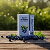Benefit Fit Organic NFC Blueberry 100 10 packs / 이롭핏