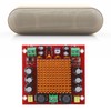 Digital Power Amplifier Board Mono Audio Amp Equipment TPA3116DA Chip