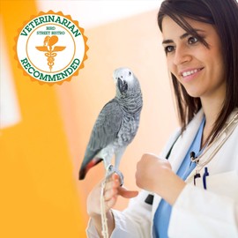 Parrot Parakeet Cockatiel Food - Bird Food - Cooks in 3-15 min with Natural & Organic Grains - Legumes - Non-GMO Fruits, Vegetables, & Health Orientated Spices (4.00 Pound (Pack of 1), Cajun Bean)