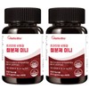 Premium Non-heme Iron Mini 90 Tablets (2 bottles) for a total of 6 months / 프리미엄 비헴철 철분제 미니 90정 2개 총 6개월분