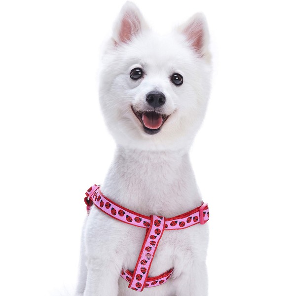 Blueberry Pet Essentials 2 Patterns Step-in Ladybug Designer Dog Harness,