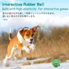 SCHITEC Dog Balls with Bell Sound, [4 Pack] Rubber Bouncy