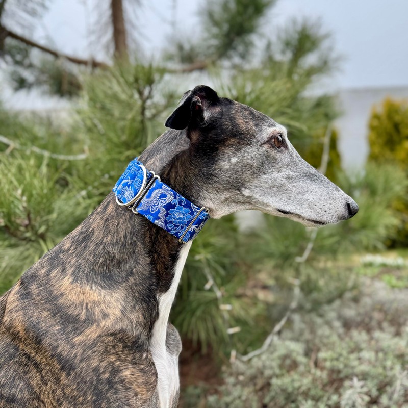 Extra Soft Martingale Dog Collar and Leash Set for Greyhound