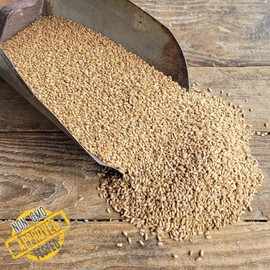 Soft Red Wheat Berries – Non‑GMO Feed Grade – 46 LB Bulk Bag – Ideal for Livestock & Poultry Feed – Grown by Ernst Grain & Livestock (Family Farm)