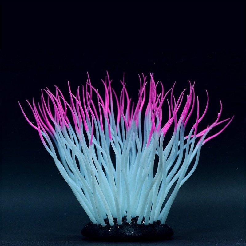 Kamihata Iso Gincha-kun, Pink, M Size