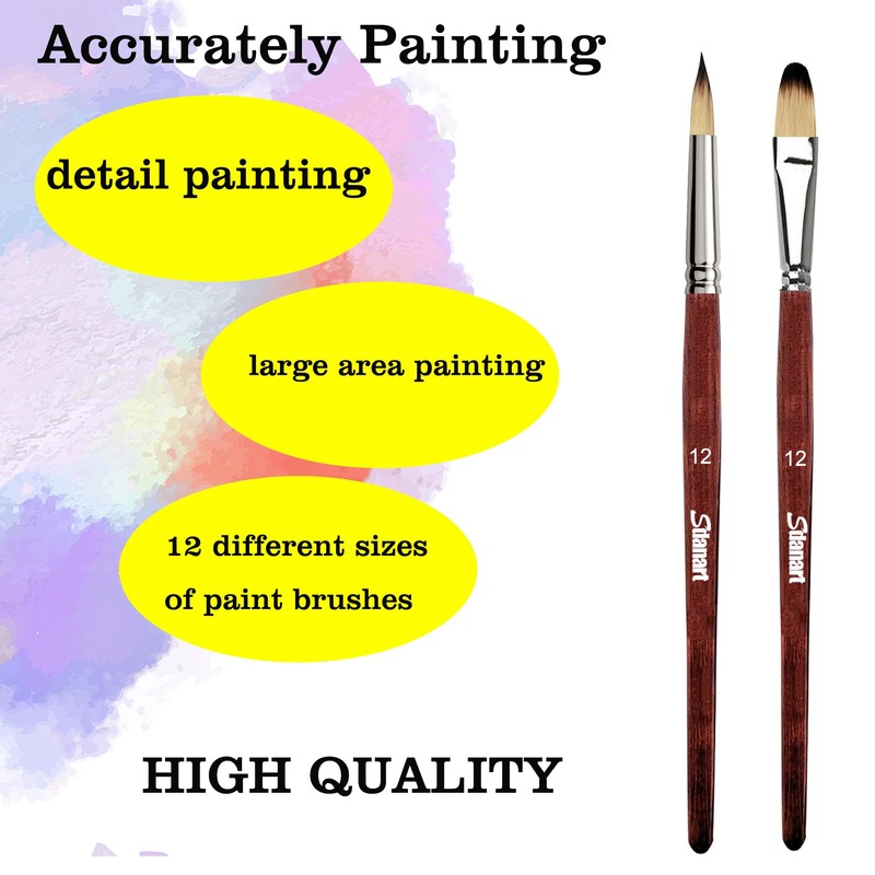 Sdanart 12 pcs Acrylic Paint Brushes Set,6 Professional Round Pointed