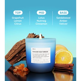 LUMELOOM Summer Night Breeze Scented Candle, 11oz Aromatherapy Soy Wax Candles for Home Scented, Long Lasting, Fruits, Flower, Wood Scent Gift for Men, Women, Friends