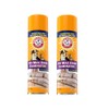 Arm & Hammer Pet Max Odor Eliminator for Carpet &