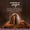 COFFEE 46 HUNDRED® Antigua Guatemala Whole Bean Coffee – Fresh