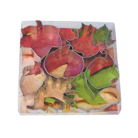 R&M International Autumn Leaf Cookie Cutters, Squirrel, Pumpkin, Acorn, Apple, Ivy, Pin Oak, Maple Leaf, 7-Piece Set