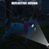 BEAUTYZOO Reflective Dog Harness and Leash Set, Adjustable Breathable Soft