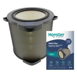 1 Filter Compatible with AEG Air Purifier AX91-404DG | Replacement for AEG CARE360 Air Filter AFDCAR4