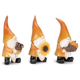 RAZ Imports 2022 Autumn Abundance 7.75" Fall Gnome, Assortment of 3
