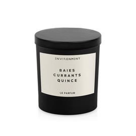 Environment Inspired by D Baies 8oz Candle with Lid and Box (Baies | Currants | Quince)