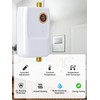 5500W Tankless Water Heater Electric 220V Inline Instant Hot Water