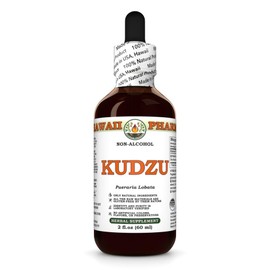 Hawaii Pharm Kudzu Alcohol-Free Extract, Glycerite for Liver Wellness, Promotes Heart Function, Supports Cardiovascular Balance, Protects Liver from Oxidative Damage, Soothes Head Tension - 2 fl.oz
