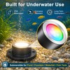 LED Pond Lights RGBWW, Underwater Pond Lights with 12V Timer