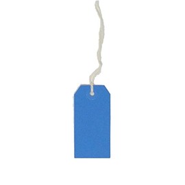 USA-Made Gift Tags Pre-Strung in Variety of Colors and Sizes (#2 = 3.25 x 1.625 inches, PRE-Strung Blue)
