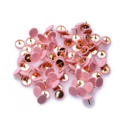 Sowaka 100 Pcs Thumb Tacks Plastic Roundness Multi Color Push Pin Decorative Pins for Wall Whiteboard Corkboard Photo Wall Picture Board Home Office School Supplies Bulletin Board Accessories (Pink)