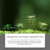 Soil Pro Activator,200G Soil Activator for Plants,Soilactivator for Fruit Trees-Promotes