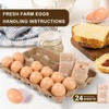 DecarDamai 100-Pack Bulk Empty Egg Cartons for Storage, 12-Count Natural
