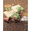 Sano Kiko Furawa Plto Pure Copper Nameplate for Enjoying Aging