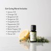 Elllia Ellia Diffuser Essential Oil | Get Going Blend| 15ml,