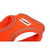 Doodlebone Snappy Harness, Tangerine, 1-2