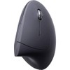 Renkforce RF-WM-322 Ergonomische Maus Funk Optisch Schwarz 5 Tasten 1600