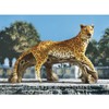 Leopard's Kingdom Garden Statue