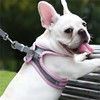 GIAPINST Dog & Cat Harness, Step-in Reflective Breathable Mesh Vest