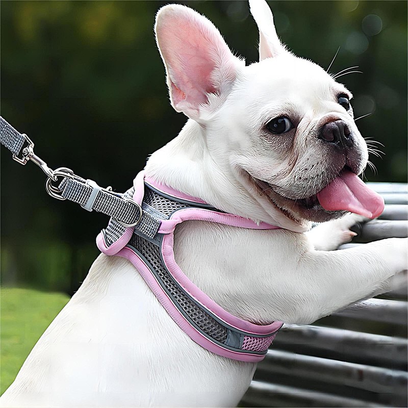 GIAPINST Dog & Cat Harness, Step-in Reflective Breathable Mesh Vest