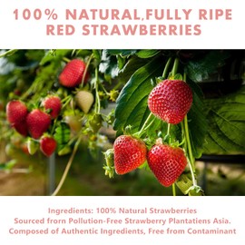 Freeze Dried Strawberry Powder - No Sugar Added, Strawberry Flavoring for Baking, Smoothies & Desserts - Dehydrated Fruit Powder, Freeze Dried Strawberries (16 OZ)