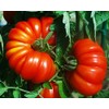 30 Costoluto Genovese Pomodoro Tomato Seeds, Heirloom Non-GMO, Low Acid,