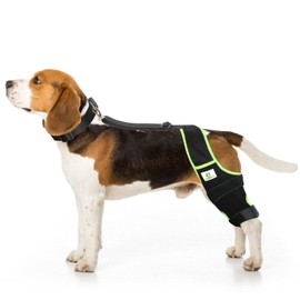 Dog Knee Brace for Hind Legs with Extra Collar & Strap - Relieves Joint Pain & Discomfort, Enhances Mobility | Supports Recovery from Osteoarthritis, Torn ACL/CCL, Luxating Patella | Adjustable (XS)