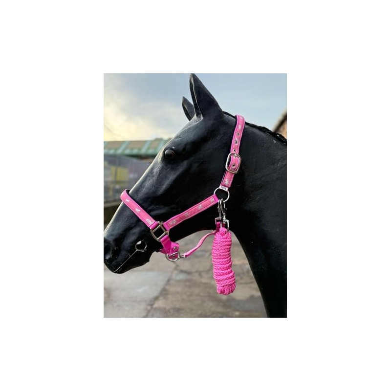 Horse Headcollar and Lead Rope Set, Pink with Horse Print