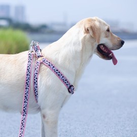 Hyhug Nylon Plus Calico Double Layer Sewing Beautiful Pattern and Personality Classic Dog Headcollar Strong and Reliable Y Shaped Collar (Leopard Pink, Large)