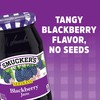 Smucker's Seedless Blackberry Jam, 18 Ounces (Pack of 6)