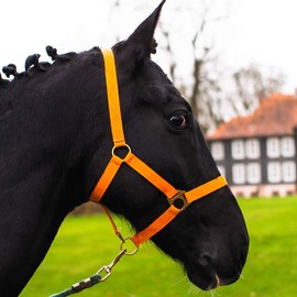 Horse Halter for Warm-Blood, Thoroughbred and Cold-Blood – Stable Halter, Field Halter, 2 Adjustable Positions on Chin Strap and Headpiece, Safe & Tear-Resistant