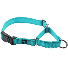Max and Neo Nylon Martingale Collar - We Donate to a Dog Rescue for Every Collar Sold (Large, Teal)