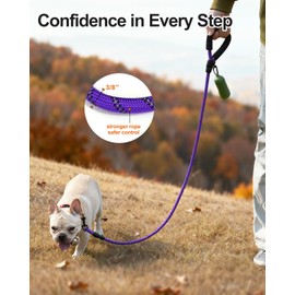 Joytale Dog Leash for Small Dogs, Heavy Duty Nylon Leashes with Comfortable Padded Handle and Highly Reflective Threads, Ideal for Walking and Training, Purple, 6'×3/8''
