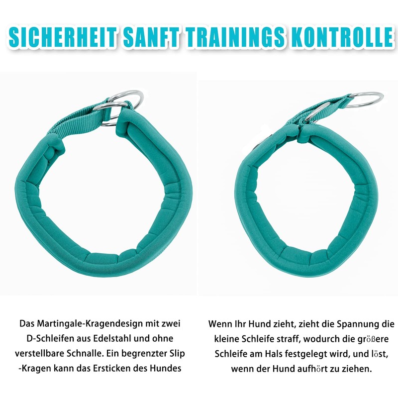 Soft Neoprene Padded Dog Collar (4 cm Wide), Reflective Dog