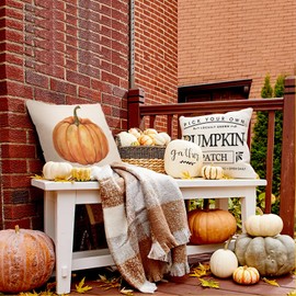 ZWJD Fall Pillow Covers 18x18 Set of 4 Farmhouse Fall Decor Fall Pillows Pumpkin Maple Leaves Hello Autumn Decorative Pillow Covers for Fall Porch Decor Couch Bed