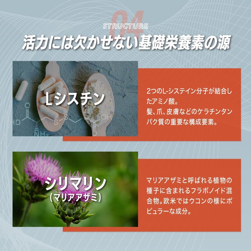 【新処方】酢酸菌酵素 配合 リボーン (Re;BONE) 高吸収 クルクミン クルクルージュ 飲み会 サプリ 5日分