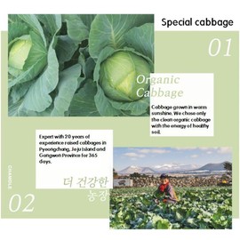 Organic Cabbage Juice Packs 10 Packs [100Ml]/Gift/Health Food/Drink/Parents/Children/Special Price/Concentrate/Vegetable Juice