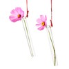 Tuuters 5 x Test Tube Holder for Flowers with Test
