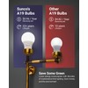 Sunco 120 Pack A19 LED Light Bulbs, [Focos para Casa],