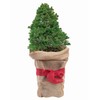 JUFOL Jute Bag, Approx. 60 x 100 cm, Winter Protection