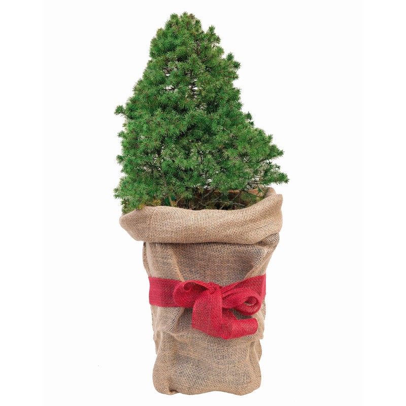 JUFOL Jute Bag, Approx. 60 x 100 cm, Winter Protection